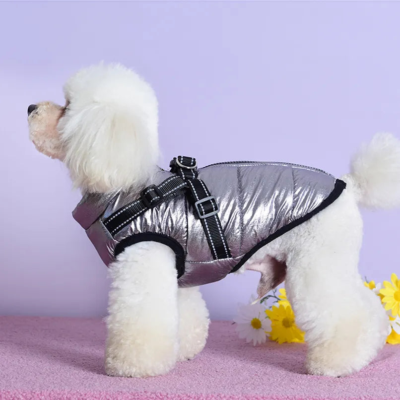 Manteau imperméable pour chien